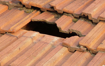 roof repair Diddlebury, Shropshire